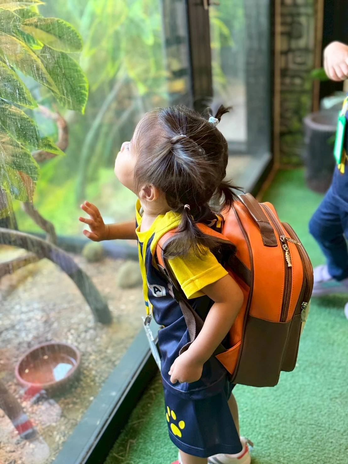 A child wearing a backpack looking closely at an animal enclosure