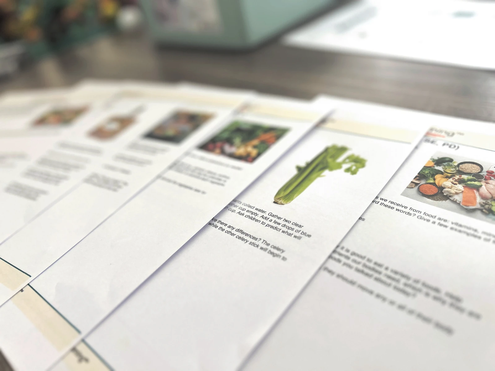 A row of curriculum lesson pages spread on a table, each illustrated with food and nutrition materials